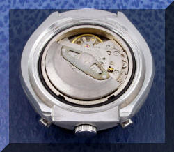 Seiko Bullhead